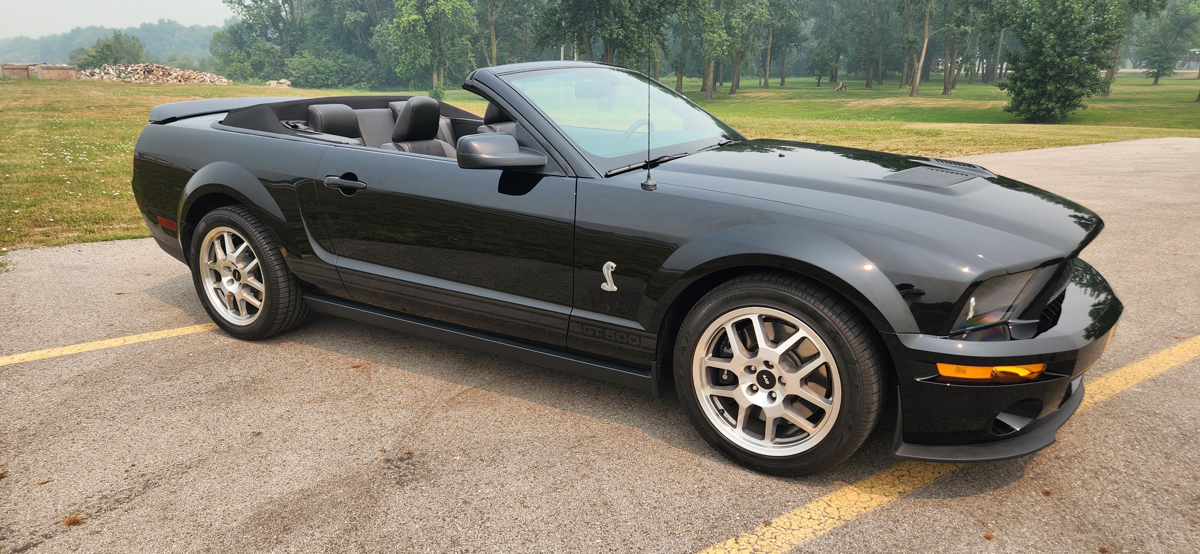 2009 Ford Shelby Mustang Shelby GT