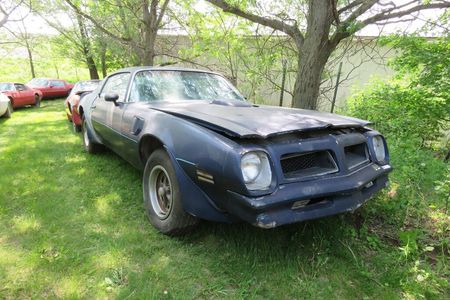 1976 Pontiac Trans Am For Sale | Hemmings