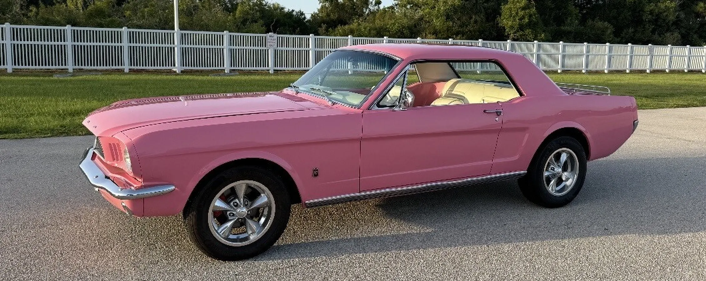 ピンク　ドドンゴ　マルサン　1966 Sold - 1966 Ford Mustang Pompano Beach, Florida | Hemmings