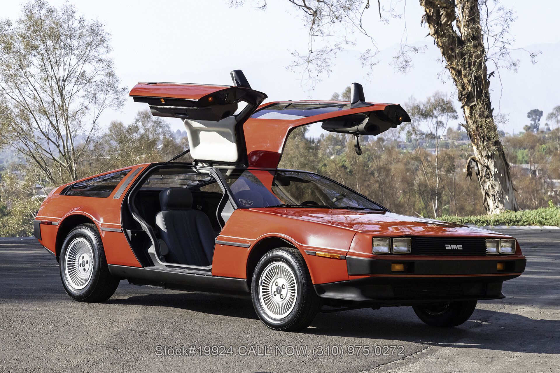 1981 DeLorean DMC-12