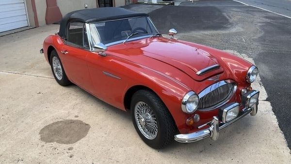 1965 Austin-Healey 3000