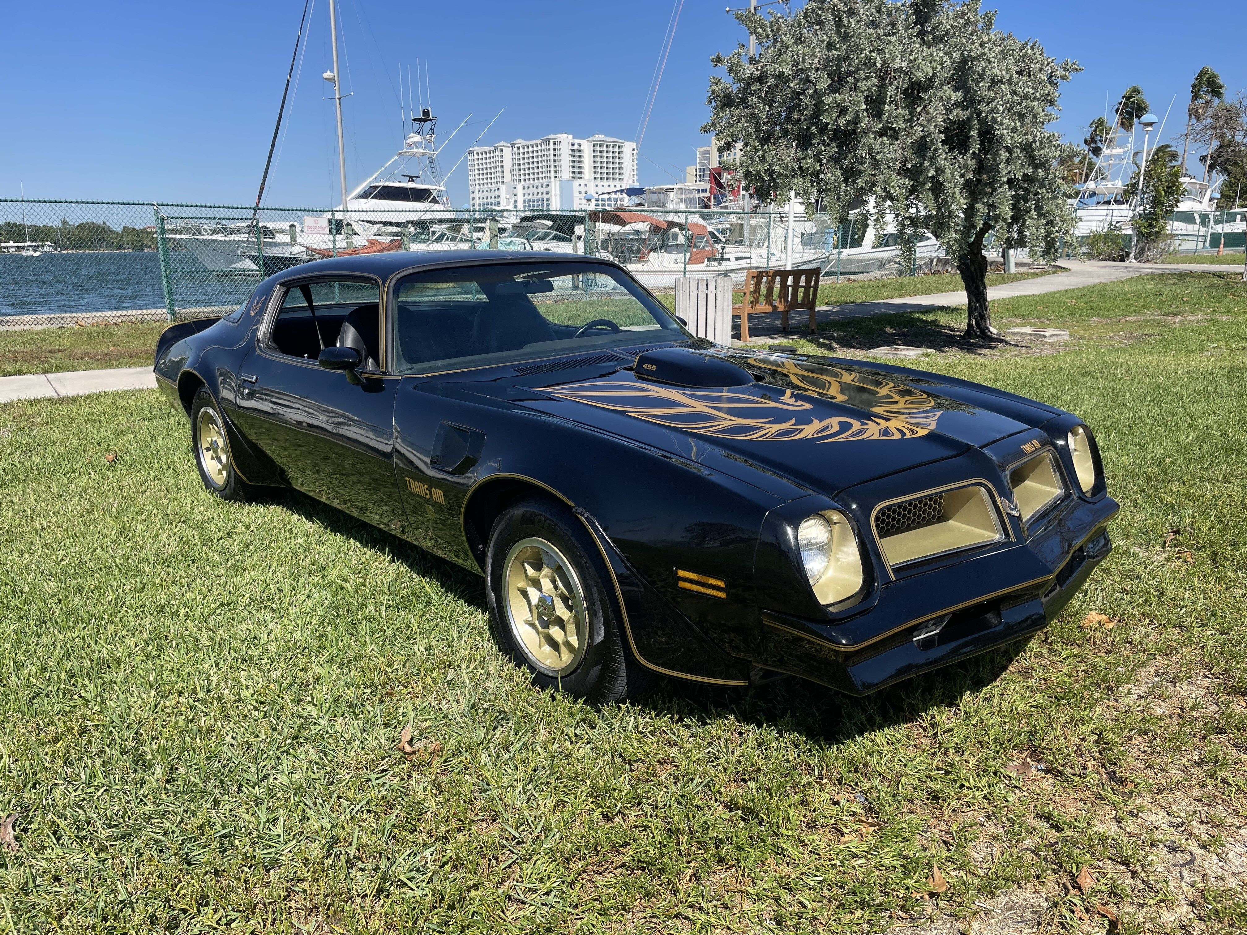 1976 Pontiac Firebird