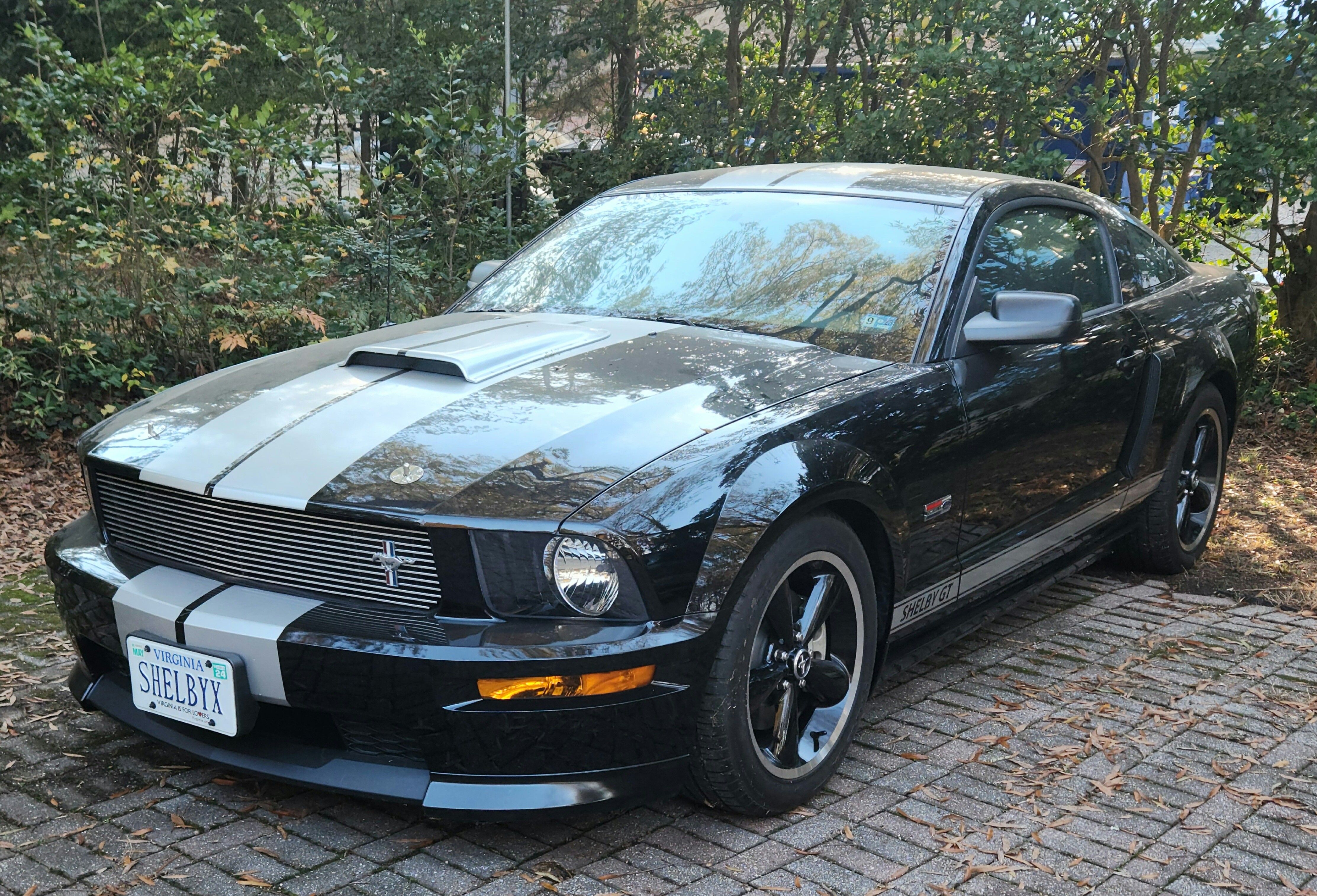 2007 Ford Shelby Mustang