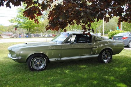 Shelby GT350 For Sale | Hemmings