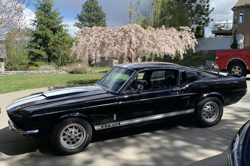 1967 Shelby Gt500 Spokane, Washington | Hemmings