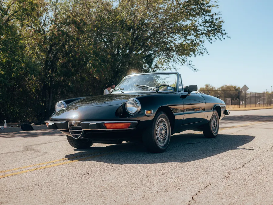 1978 Alfa Romeo Spider Austin, Texas | Hemmings