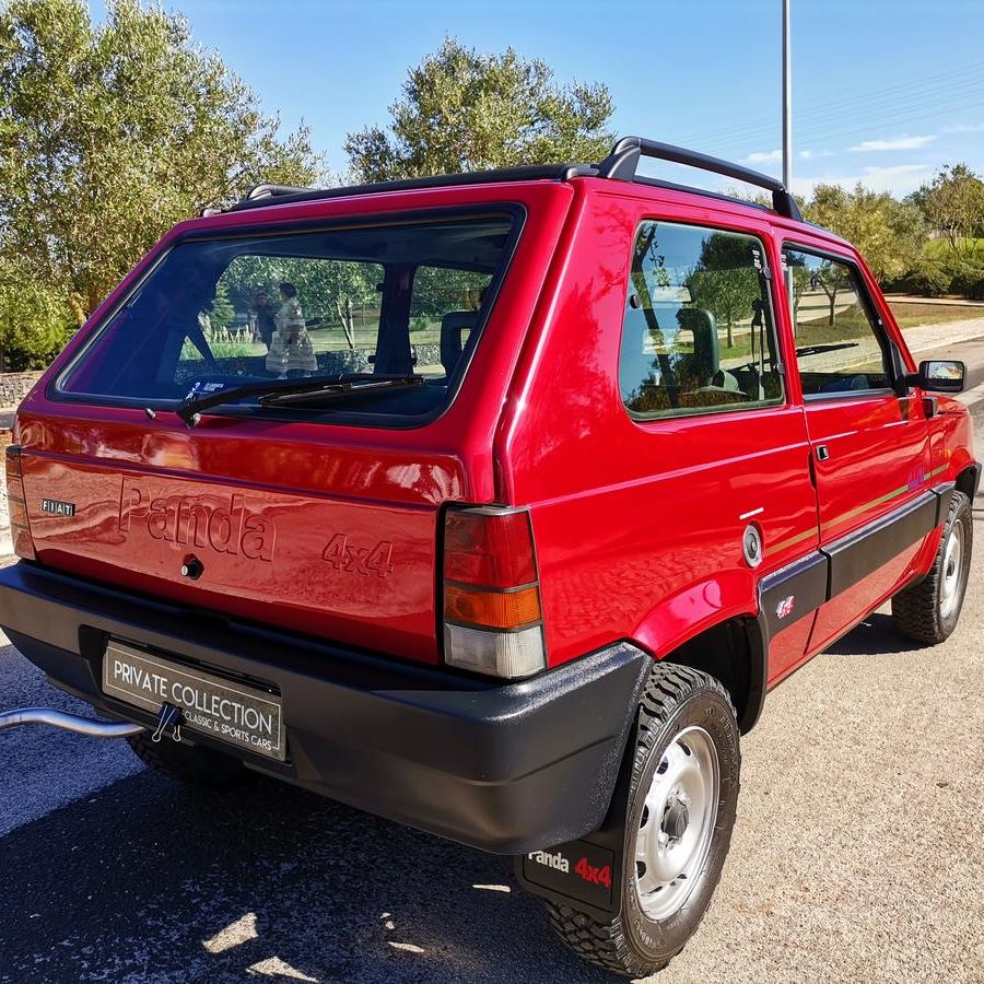 FIAT PANDA 4X4 - D.G. Auto