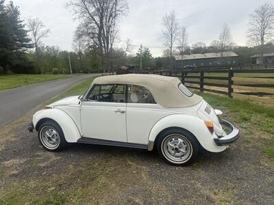 1979 Volkswagen Beetle