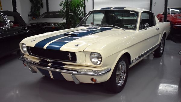 1965 Ford Shelby