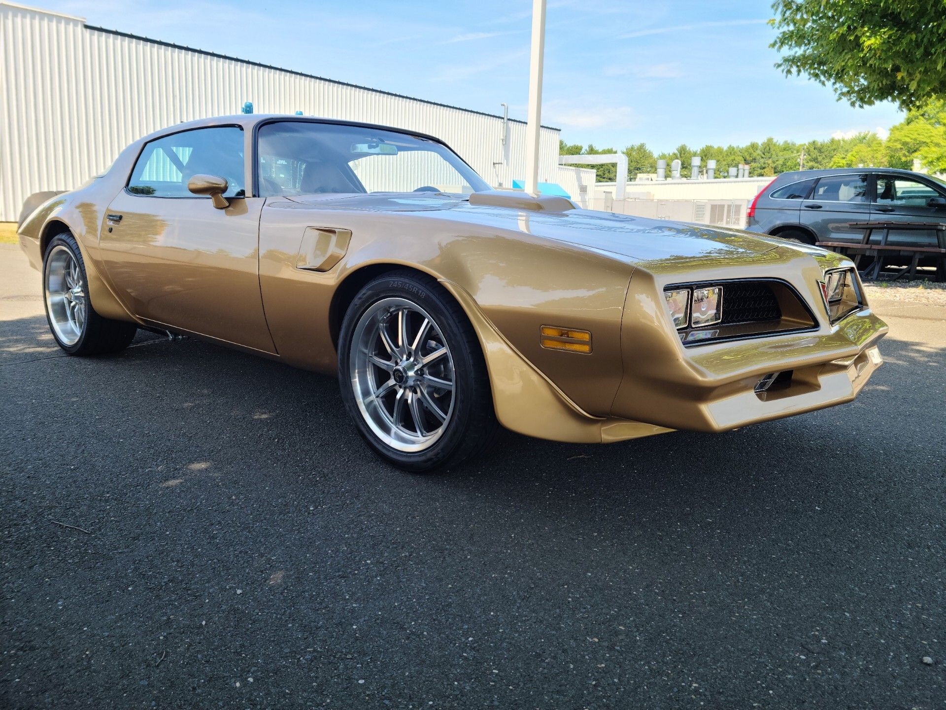 1978 Pontiac Firebird Trans Am
