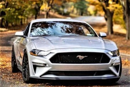 2019 Ford Mustang For Sale | Hemmings