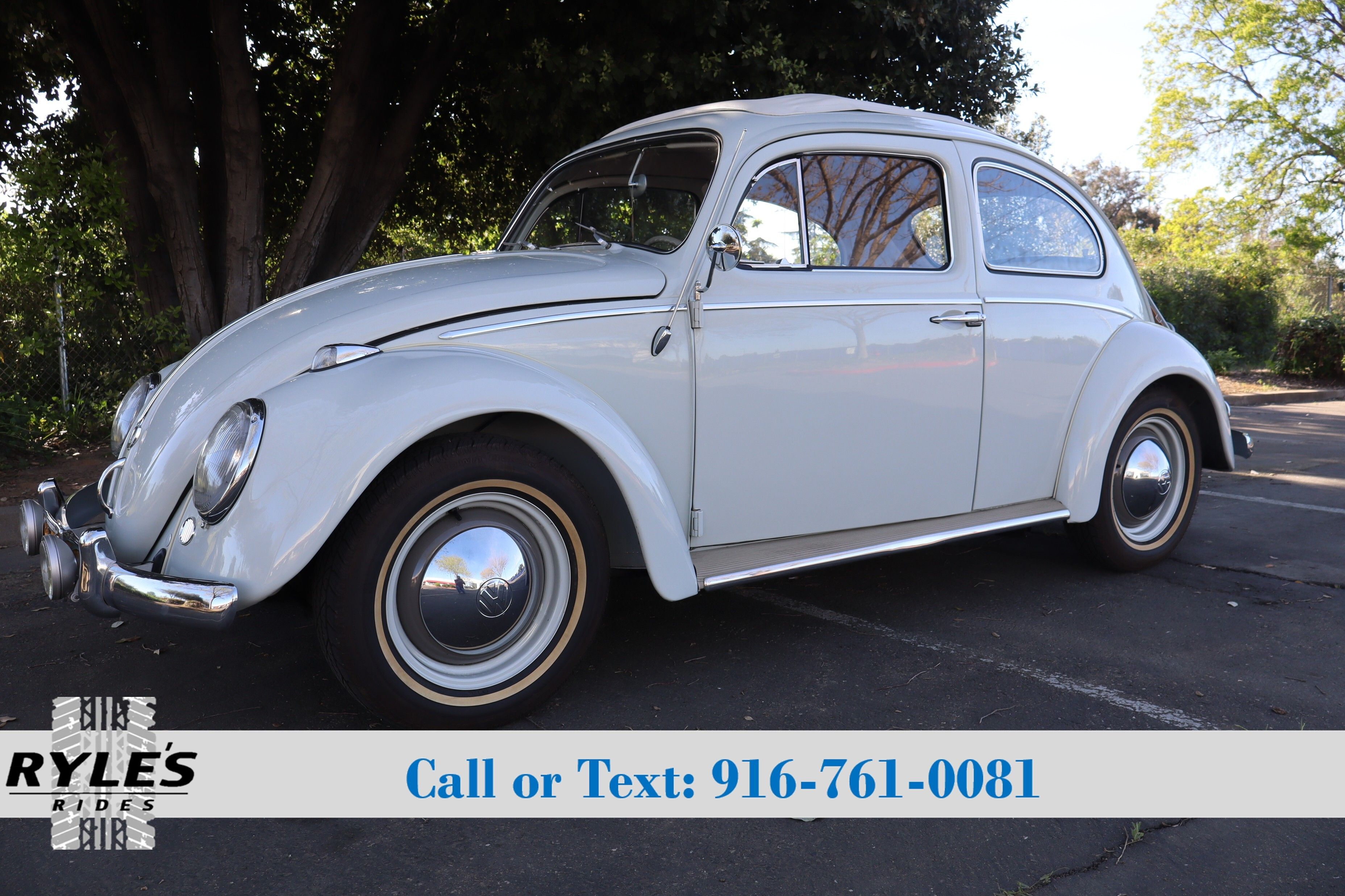 1961 Volkswagen Beetle