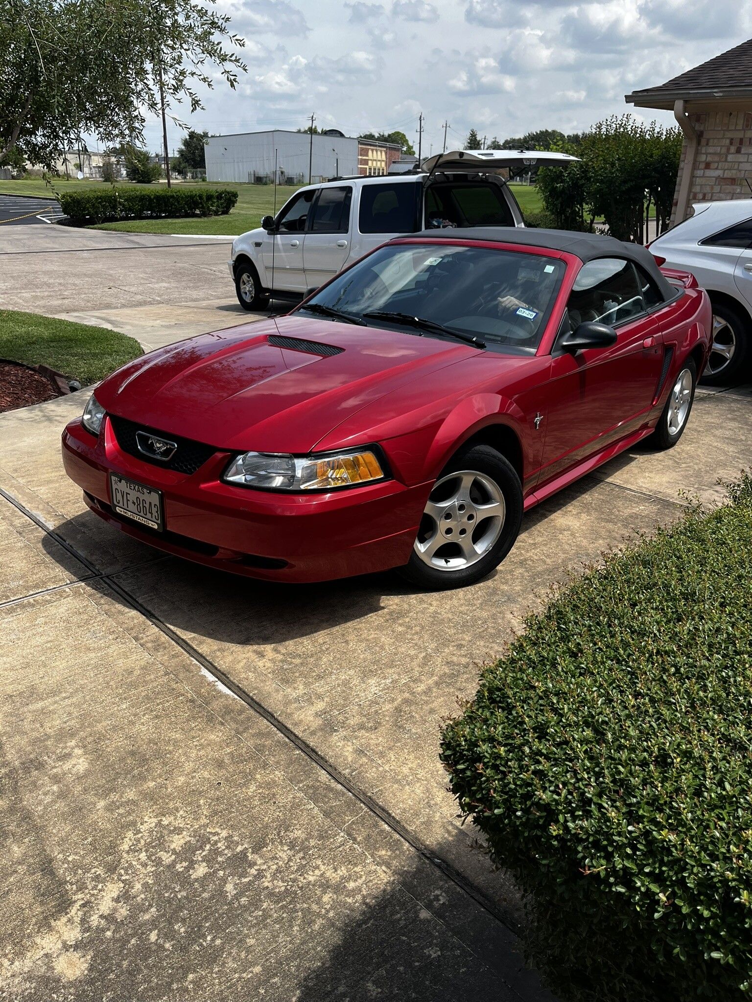 2000 Ford Mustang Convertible