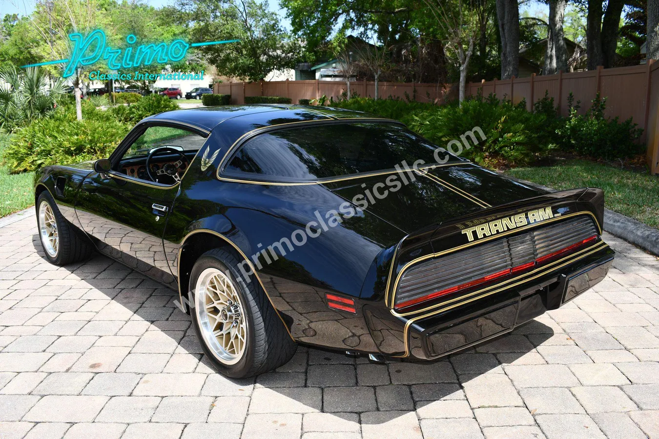 1979 Pontiac Trans Am Special Edition Y84 Lakeland, Florida | Hemmings