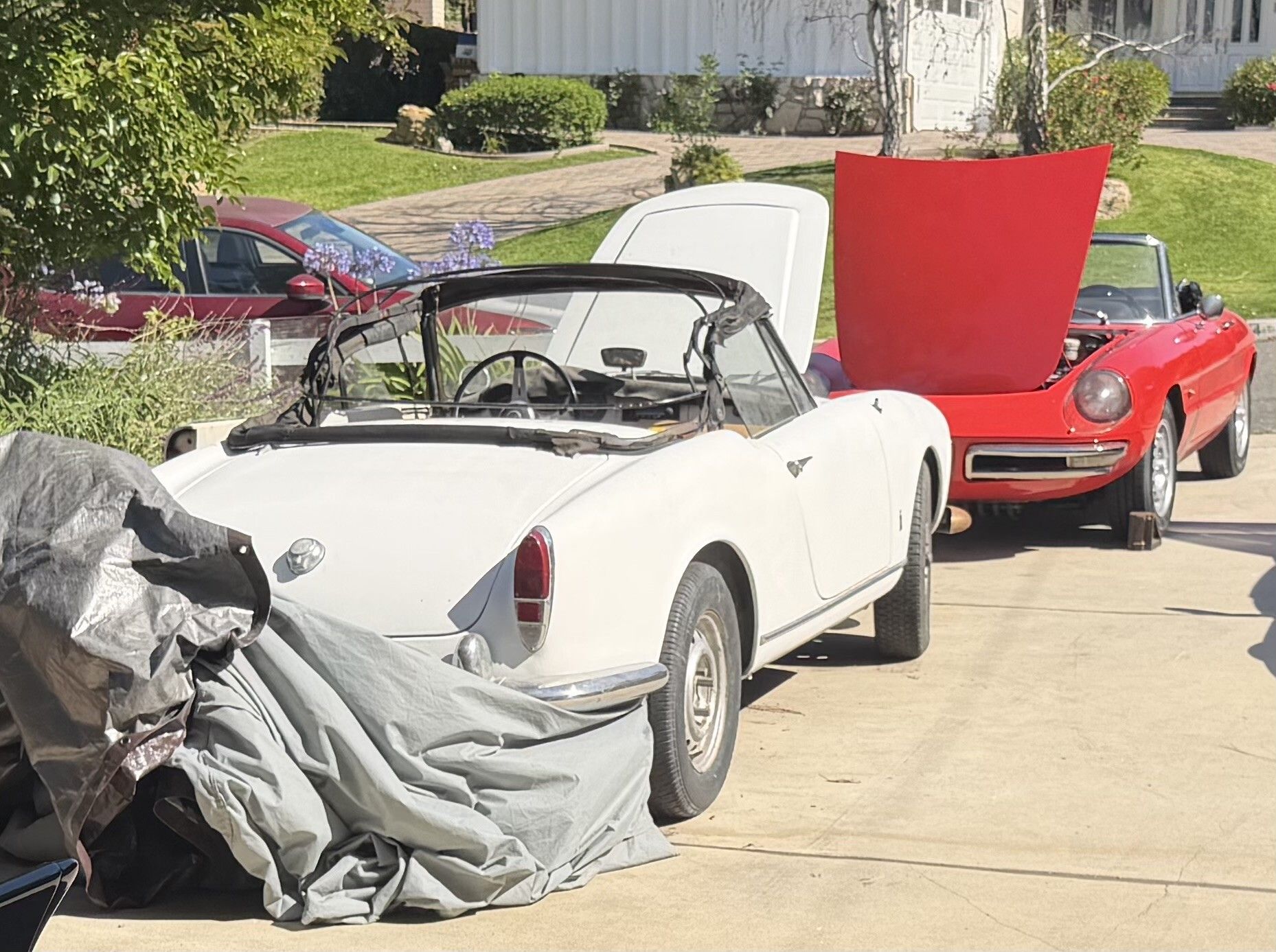 1963 Alfa Romeo Giulia