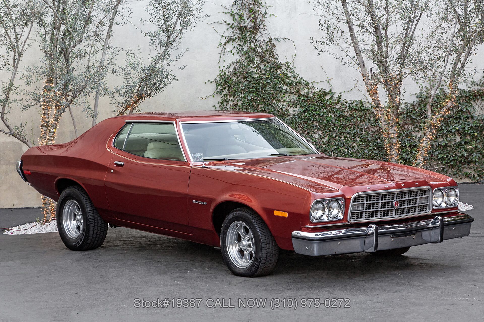 1973 Ford Torino