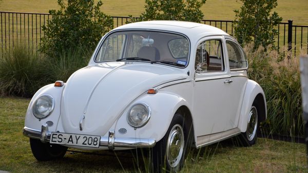 1966 Volkswagen Beetle