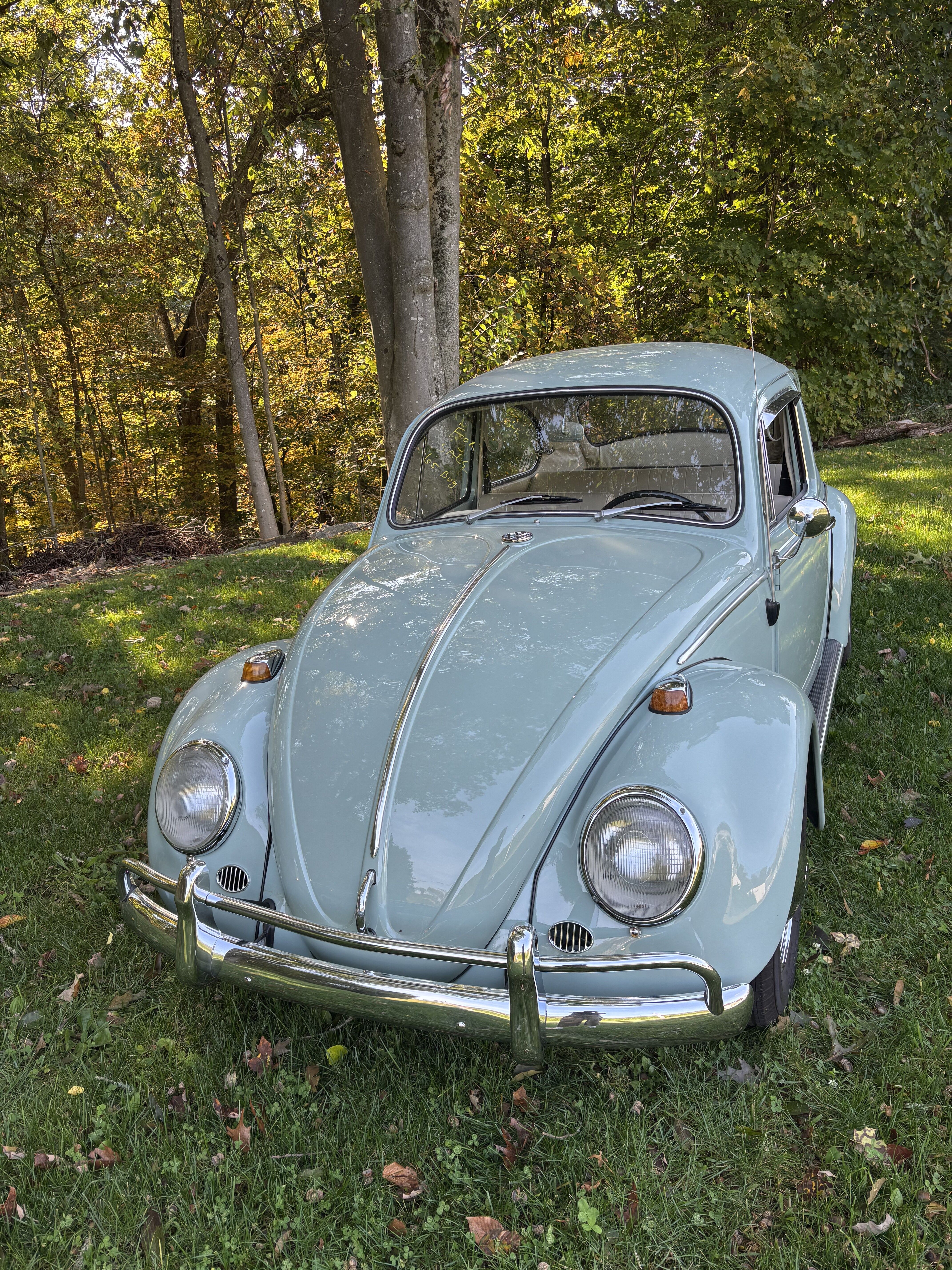 1965 Volkswagen Beetle Base