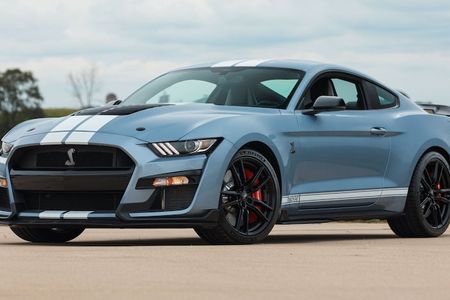 Ford Shelby Mustangs For Sale 