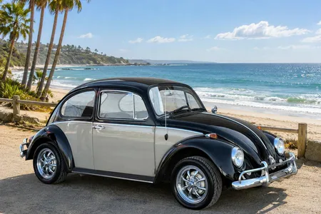 1966 Classic VW for Sale - Hemmings