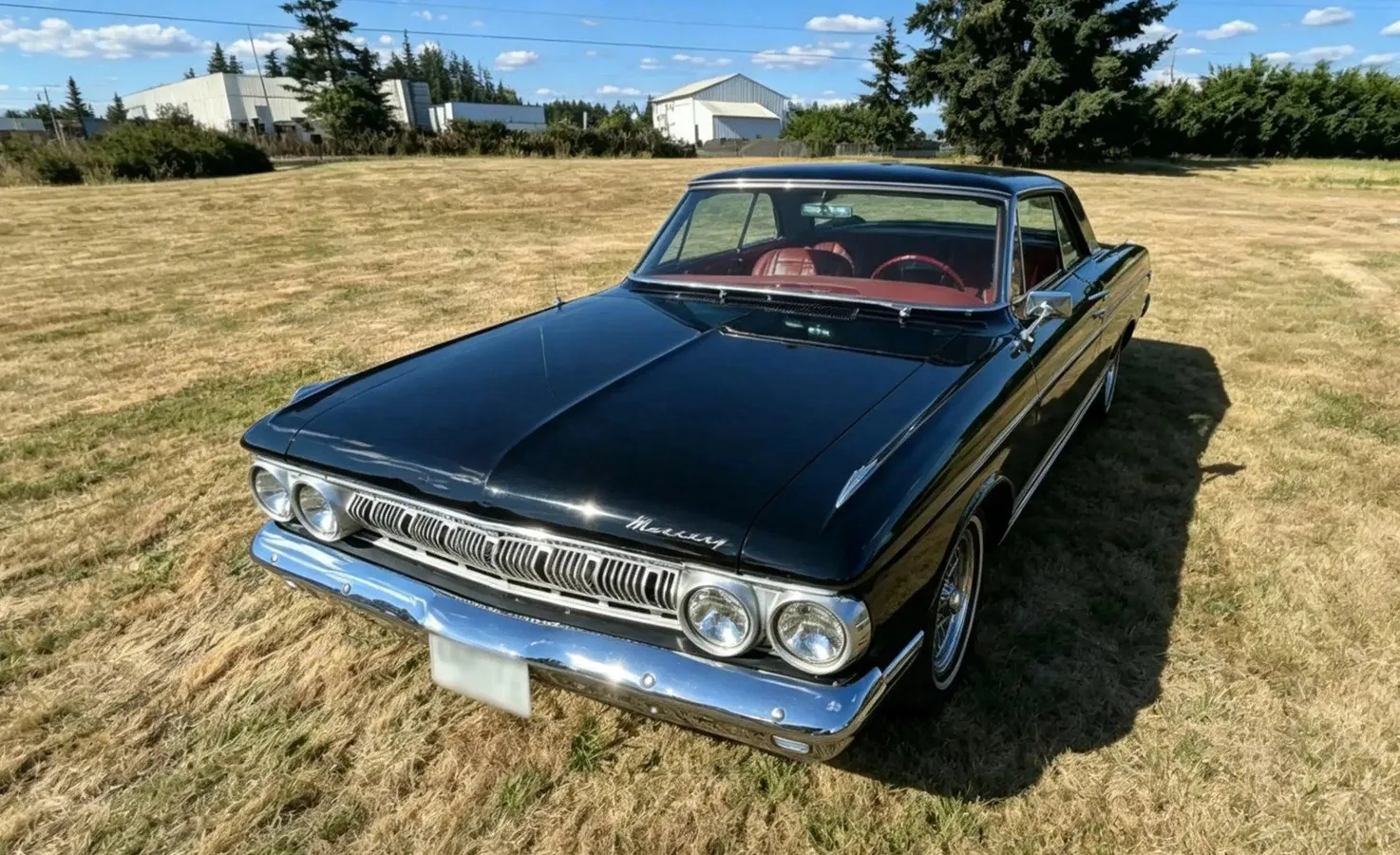 Mercury Meteor