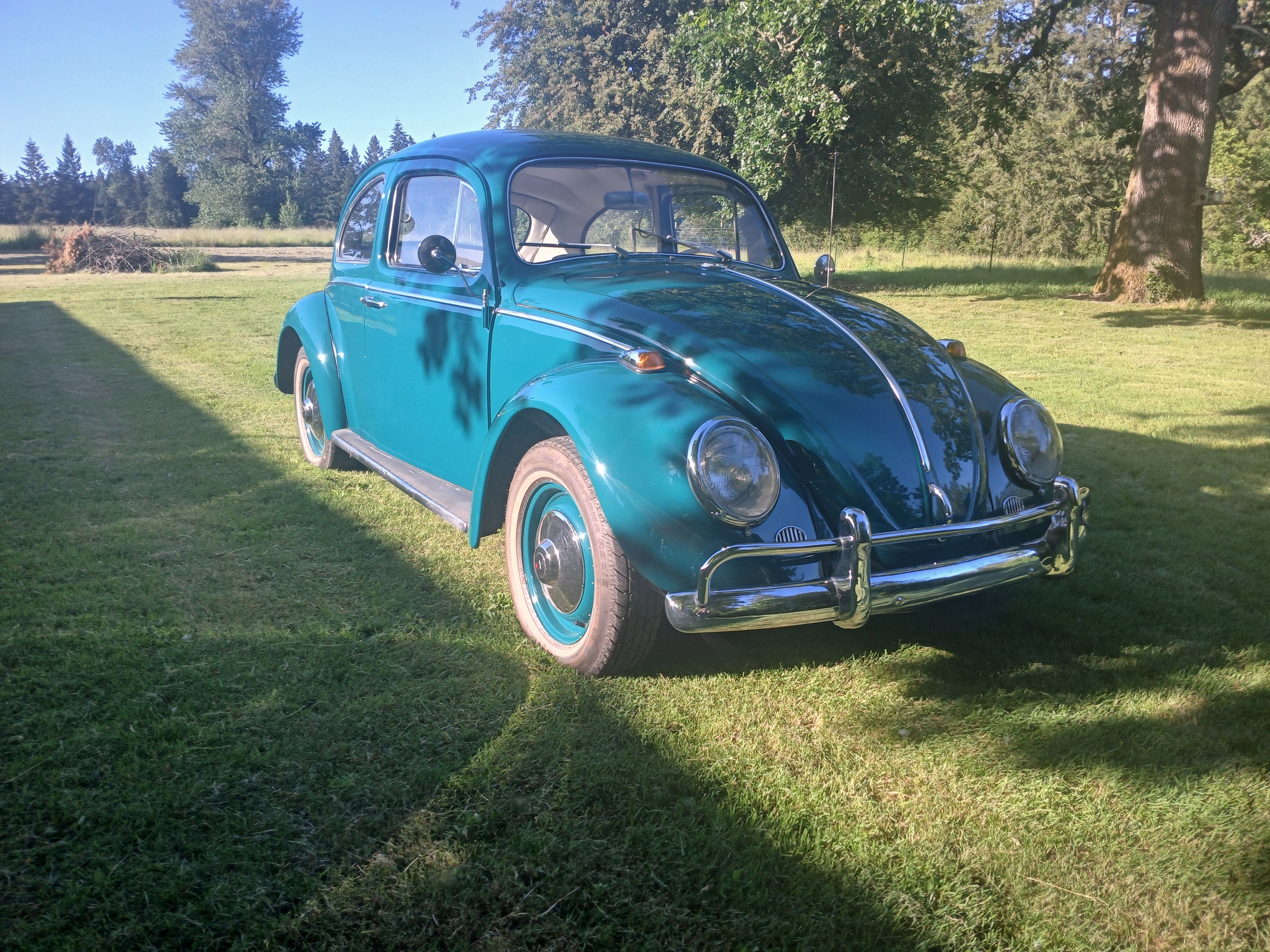 1964 Volkswagen Beetle Base